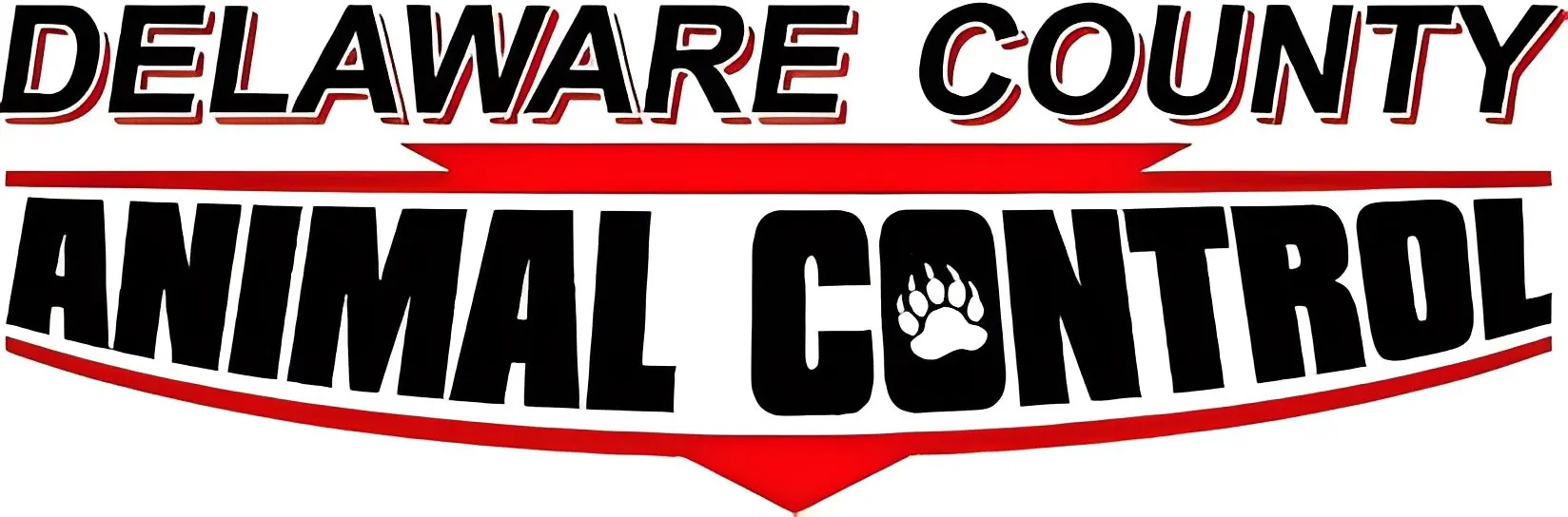 Logo-Large