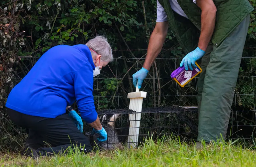 Two technicians with a caged animal