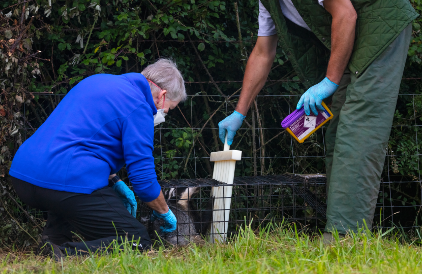 Two people caring for a caged creature