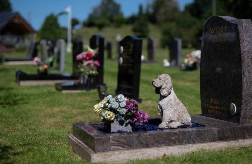 Dog statue on grave with flowers