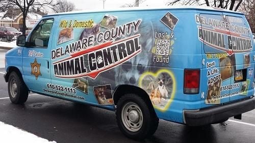 Lost and found pet services van